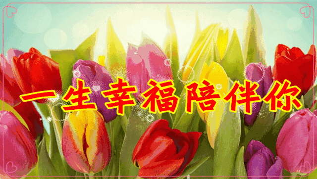 微信圖片_20190513174911.gif 微信圖片_20190513174911.gif