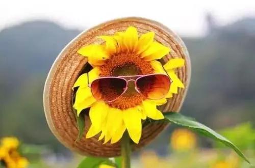 微信圖片_20190515143158.jpg 微信圖片_20190515143158.jpg