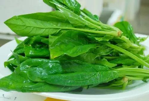 微信圖片_20190515143209.jpg 微信圖片_20190515143209.jpg