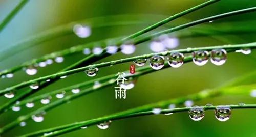 微信圖片_20190515143137.jpg 微信圖片_20190515143137.jpg