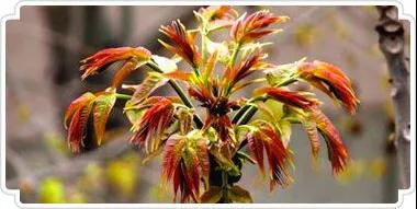 微信圖片_20190515143146.jpg 微信圖片_20190515143146.jpg