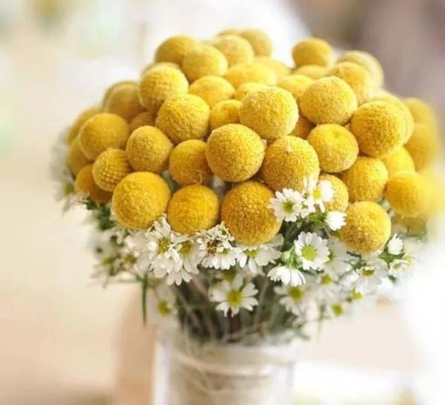 微信圖片_20190731134923.jpg 微信圖片_20190731134923.jpg