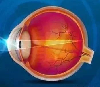 微信圖片_20190731135326.jpg 微信圖片_20190731135326.jpg