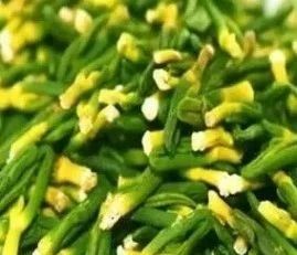 微信圖片_20190731135310.jpg 微信圖片_20190731135310.jpg