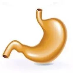 微信圖片_20190731135320.jpg 微信圖片_20190731135320.jpg